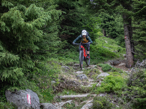 e-bike friedrichshafener-huette (4).jpg | © MICHAEL FAISS