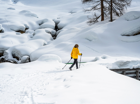 Versing_bearbeitet.jpg | © Bernhard Gruber Photography