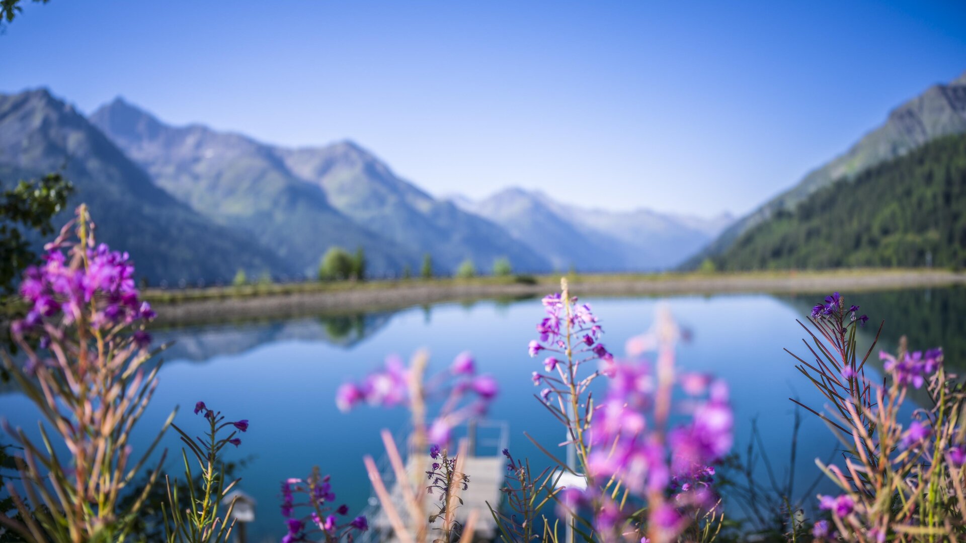Sunny Mountain