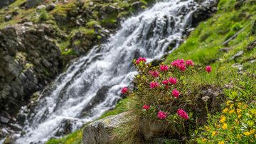 Ein Wasserfall fließt über grüne Wiesen. Bunte Blumen, vor allem pinke, blühen am Ufer.