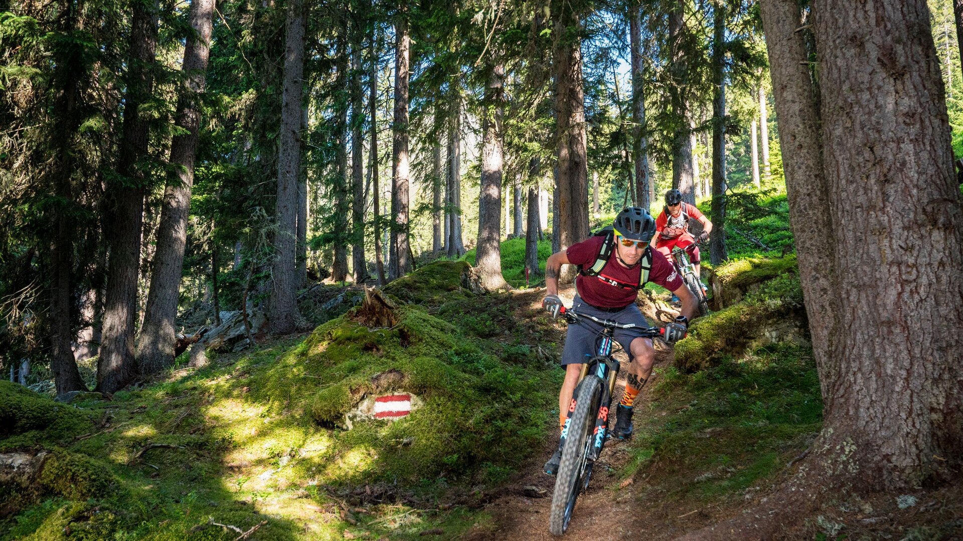 Trailday und Fahrtechniktraining Trailday und Fahrtechniktraining