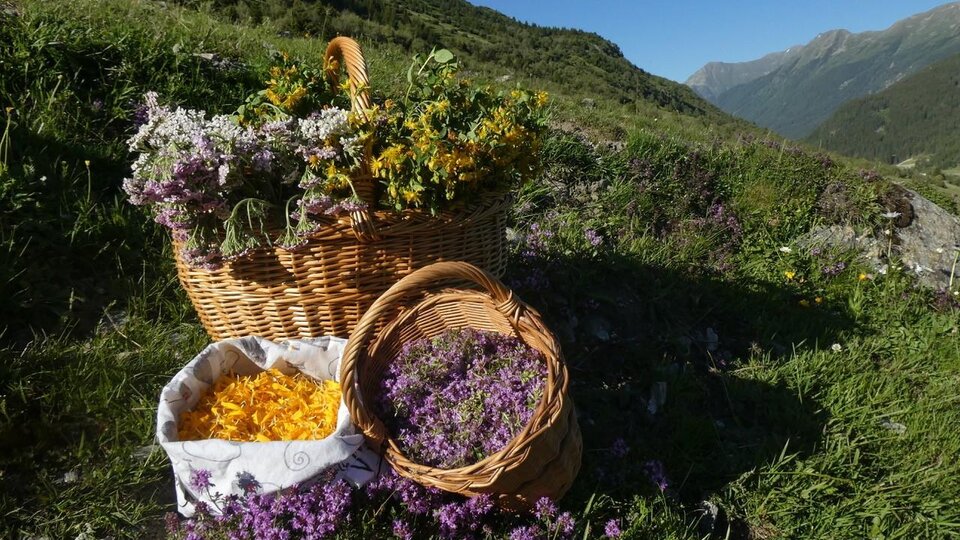 Ein Korb mit bunten Blumen steht auf einer Wiese in den Bergen. Um ihn herum sind weitere kleine Körbe mit leuchtenden Blüten und Blättern.