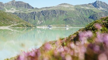 Eine ruhige Berglandschaft mit einem klaren See und sanften Hügeln im Hintergrund. Bunte Blumen randen den Vordergrund und verleihen dem Bild eine lebendige Note.