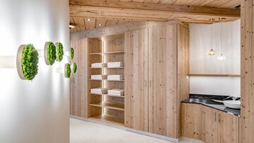 A modern room with wooden walls and shelves. Plants in pots hang on the wall, and there is a dark workspace.